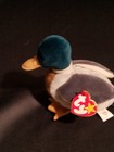 Rare Jake Ty Beanie Baby With Errors Red Stamp  409