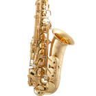 Selmer Eb Alto Saxophone Outfit Sas511 - Lacquer Finish