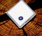 4 55ct Oval Cabochon Natural 6-rays Blue Star Sapphire Loose Certified Gemstone