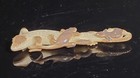 Vintage Zuni Nm Fetish Carving Fluorite Agate Lizard W  Babies Figurine Unsigned