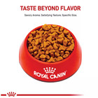 2 Packs  Royal Canin Breed Health Nutrition Pug Adult Dry Dog Food  10 Lb