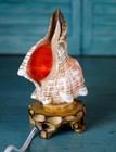 Vintage Seashell Shell Striped Conch Table Night Light Lamp Wood Pedestal Base