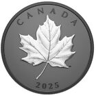 20   Dollar Elegant Maple Leaf - Black Rhodium Plating Canada 1 Oz Silver 2025