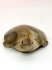 Carved Stone Turtle Figurine Paperweight Brown Hand Crafted