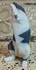Adorable Playful Black   White Kitten Cat Figurine Resin