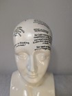 Rare Vintage Volvo Advertisement Phrenology Bust Every 1973 Volvo Has A Brain 
