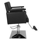 Hydraulic Barber Chair  Salon Hair Styling Chair Beauty Spa Height Adjust Swivel