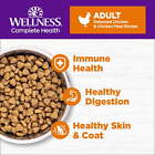 Complete Health Natural Grain Free Deboned Chicken   Chicken Meal Dry Cat Food 