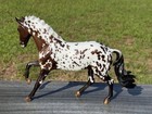 Breyer Breyerfest 2024 Celebration Horse Dani Danash s Northern Tempest Special