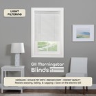 Cordless Light Filtering Mini Blind 22 x64  Pearl White Vinyl Child Pet Safety