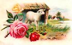 Vintage 1880 s Jersey Coffee Cute Little Sheep Victorian Trade Card Dayton  Ohio