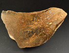 Agatized Dinosaur Bone  Complete Round  Utah  Polished 7x4x3 