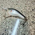 Vintage Bagley Db-3 Gash Georgia Shad Special Order Fishing Lure Rare
