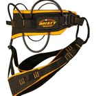 Misty Mountain Cadillac F Harness