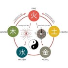 Feng Shui Coin Necklace Silver Good Luck Chinese Lucky Pendant Necklace For Men