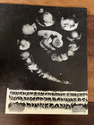 Avalon Ball Pink Floyd Steppenwolf  Santana Fd 131-132 Double Postcard 1968