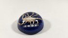 Vintage Scorpion Texas Paperweight Lucite Acrylic Domed Souvenir 