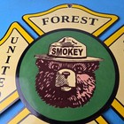 Vintage Forest Service Sign - Smokey Bear Advertising Gas Porcelain Sign