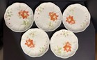Lenox Winter Meadow Christmas Poinsettia 9  Luncheon Plates Set Of 5