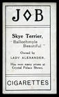 Skye Terrier Dog Societe Job Cigarette Card 1911 Rare  ballochmyle Beautiful 