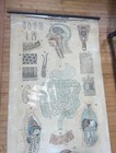 Vintage Digestive Organs Diagrams Physiological London J  Marshall Medical