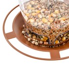 Squirrel-proof Hanging Bird Feeder For Outdoor Wild Bird Seed  Brown
