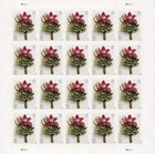 Mnh 40 Forever Stamps 2 Sheets Contemporary Boutonniere 