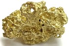 Large 18 8 Grams Gold Alaskan Yukon 25 Mm Prospector Natural Nugget