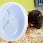 Blue Small Animal Pet Toy Exercise Wheel Durable No Slip Quiet Running Design