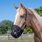 The Original Horse Grazing Muzzle - Black Or Orange - 7 Sizes