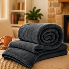 Twin Mink Fleece Blanket Soft Throw Reversible All Seasons Blankets Queen King
