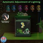 Eraark Betta Fish Tank aquarium Kit 1 5 Gallon Fish Tank with Filter Led Ligh