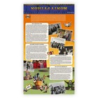 Monty Python Stamps Presentation Pack