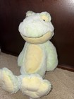 Babies R Us Soft Plush Green Yellow Frog Stuffed Baby Toy Animal Euc