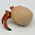 Safari Ltd Hermit Crab Incredible Creatures Crustacean Educaitonal Toy