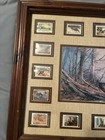 Nwtf National Wild Turkey Federation 1976-1991 Conservation Stamp Framed Display
