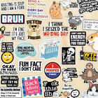 Set Of 130 Pcs Funny Saying Stickers funny Stickers For Adults  dirty  Memo Us