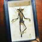 New Home Decor Fairy Skeleton Gothic Mummified Witchy Poster Statue Painting