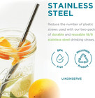     Stainless Steel Straws 2pk 100  Plastic-free Reusable 304-grade Eco-friendly D