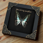 Real Framed Butterfly For Mom Mounted  Taxidermy Art Collectible Insect Specimen