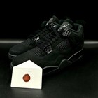 Air Jordan 4    black Cat    Fv5029-010