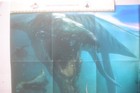 47x Dinosaur Sea Monsters  Crocodiles  Plesiosaur  Ichthyosaur  Mosasaur  Sharks