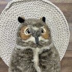 Fao Schwarz Great Horned Owl Plush 15  Realistic Stuffed Animal 2015 Toys R Us