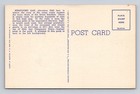 Great Smoky Mountains National Park-newfound Gap Parking Area Vintage Postcard