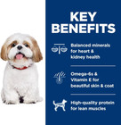 Hill s Science Diet Senior 7  Chicken Meal barley  rice Recipe Dry Dog Food 33lb