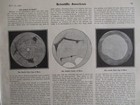 1907  the Riddle Of Mars  Planet Prof  Lowell Canals Astronomy Scientific Americ