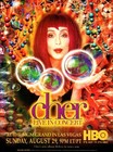 3 Cher Hbo Mgm Grand Vegas Farewell Tour Belly Button Ballys Ads 1988  1999 2003
