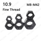 Fine Thread Black 10 9 Steel Din934 Hexagon Nuts Hex Nuts M8 M10 M12 M14 M16-m42