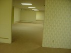 The Backrooms Authentic Carpet And Wallpaper Plaque With Certificate Of Auth 