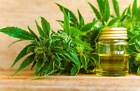 Hemp Essential Oil - Hemp Seed Oil 1400mg  2  - Antioxidant For Skin
